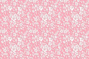 , Texture, Pink, White, Flower