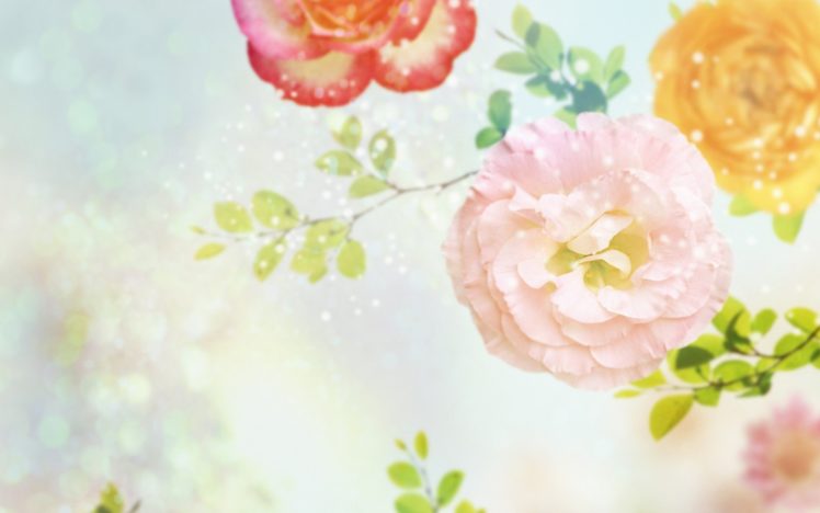 , Flower, Textur HD Wallpaper Desktop Background