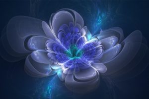 fractal, Blue, Flower, Texture