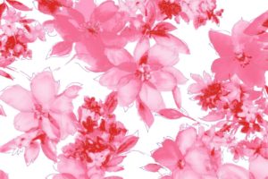 texture, Flower, Pink