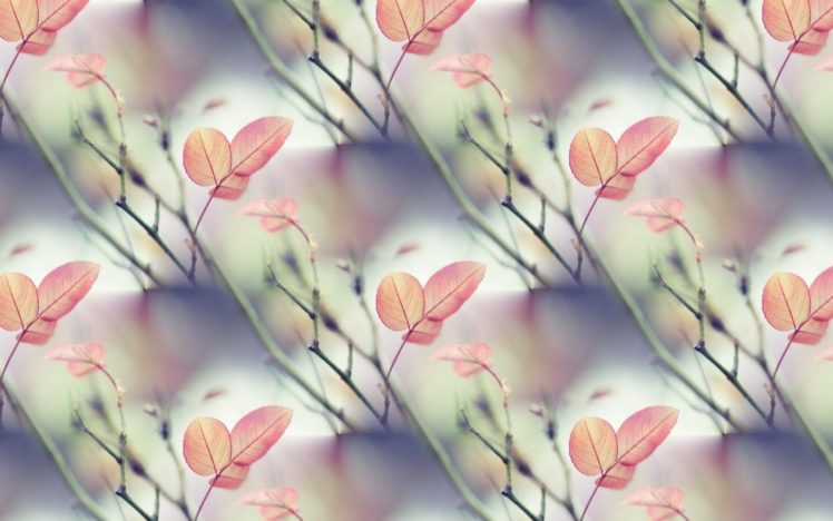 texture, Leaf, Beauty HD Wallpaper Desktop Background