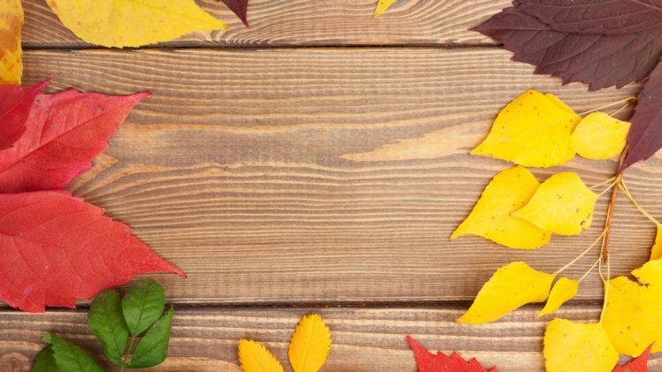 textures, Happy, Autumn HD Wallpaper Desktop Background