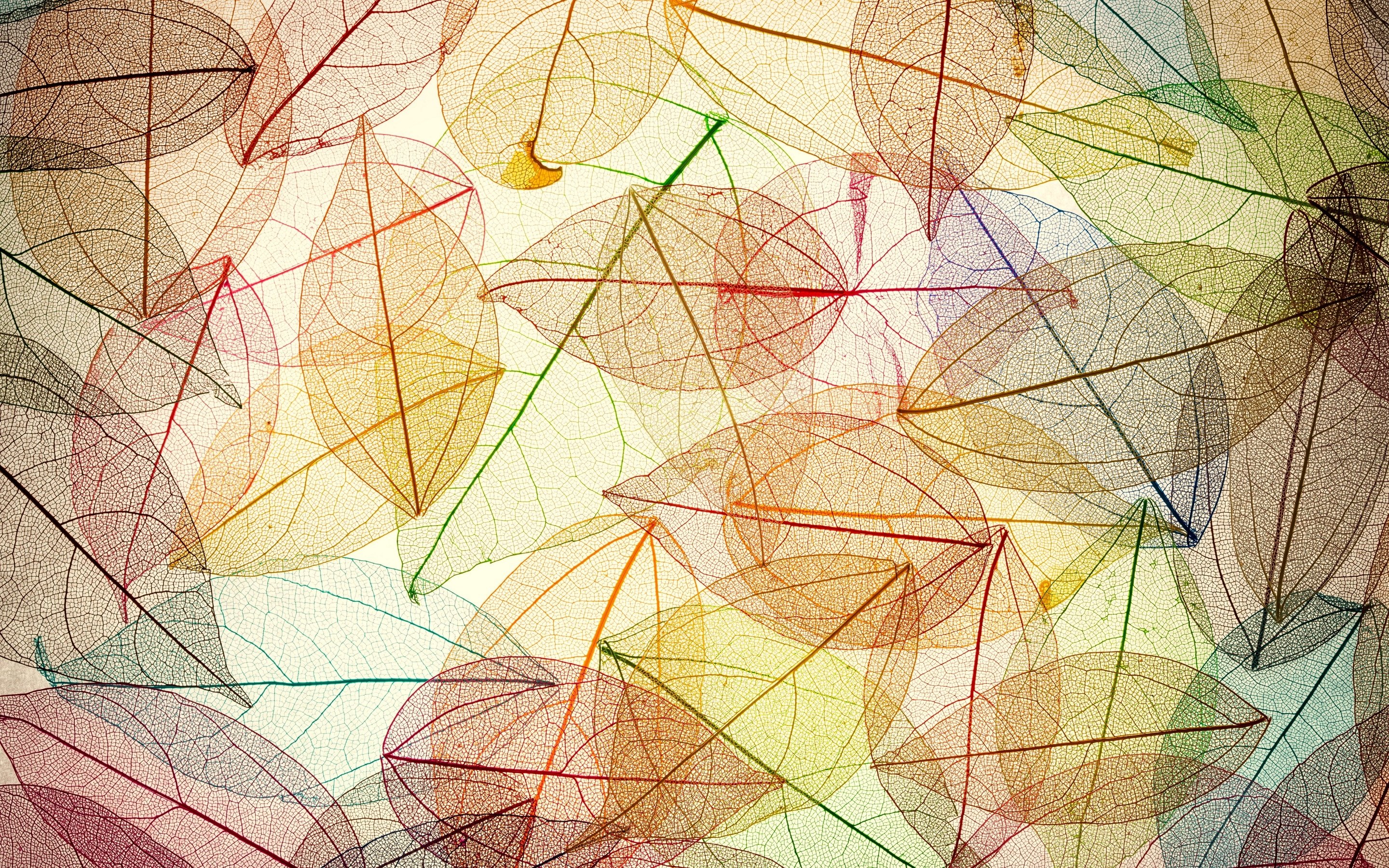 texture, Leaves Wallpaper