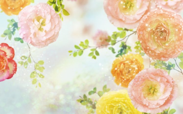 textures, Carnations HD Wallpaper Desktop Background