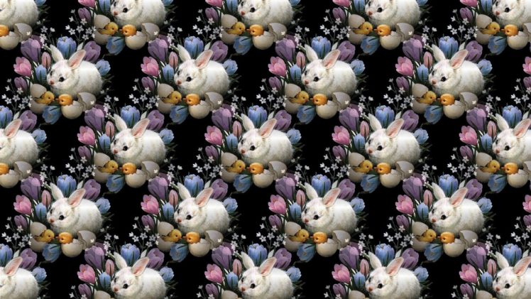 textures, Rabbit, Cute HD Wallpaper Desktop Background