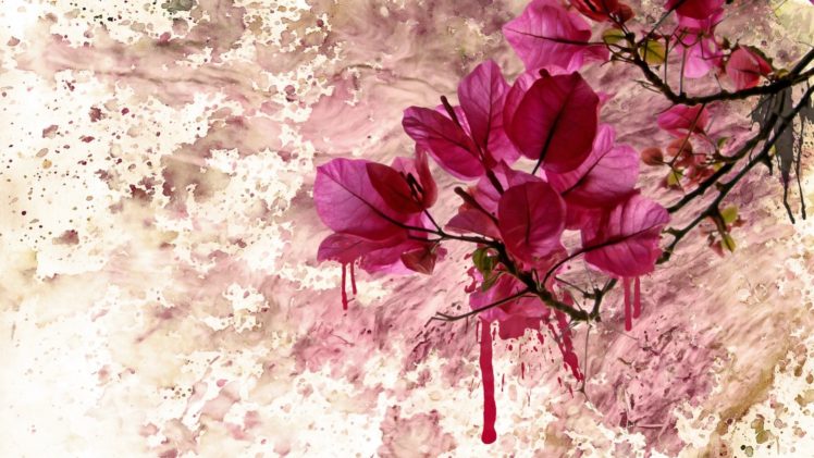textures, Flower, Pink HD Wallpaper Desktop Background