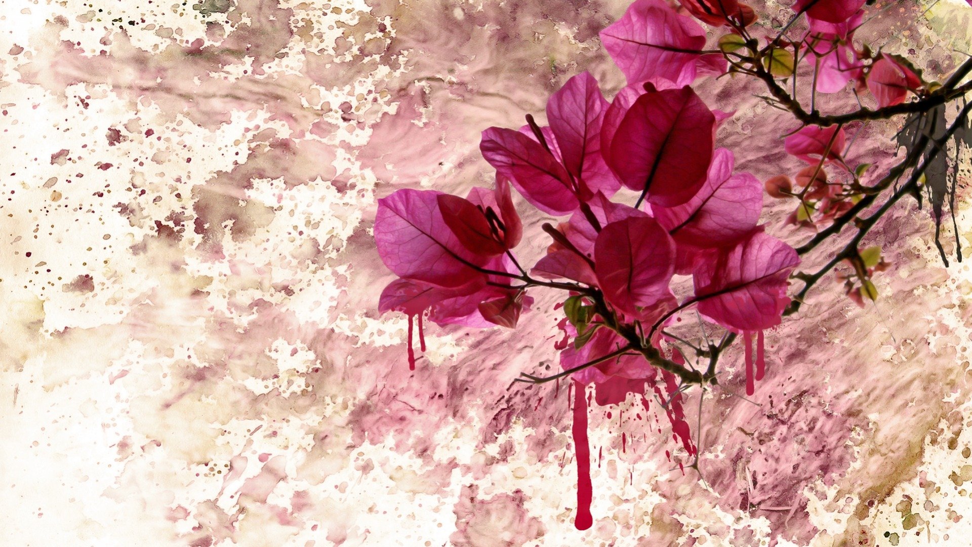 textures, Flower, Pink Wallpaper