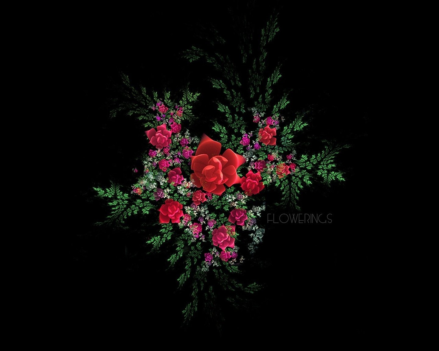 flower, Texture, Rose, Beauty Wallpapers HD / Desktop and Mobile Backgrounds