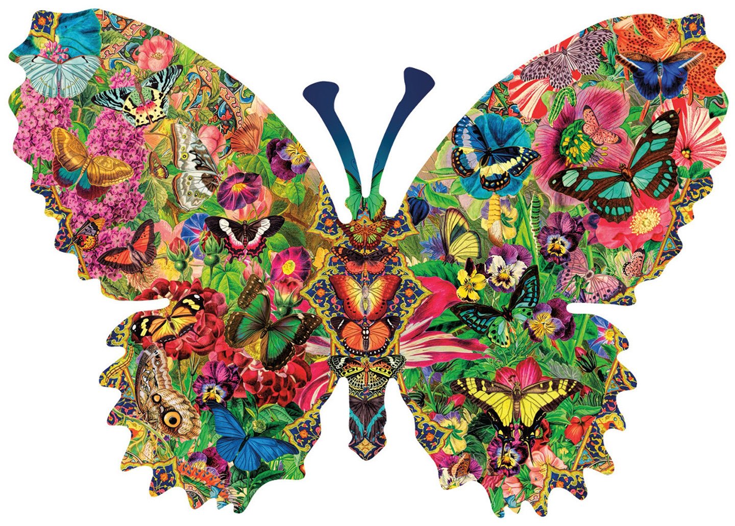 textures, Butterfly Wallpaper