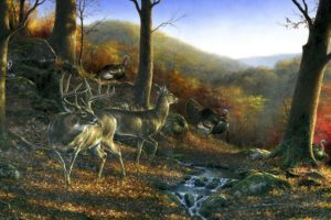 shawnee, Hills, Painting, Art, Animal, Deer