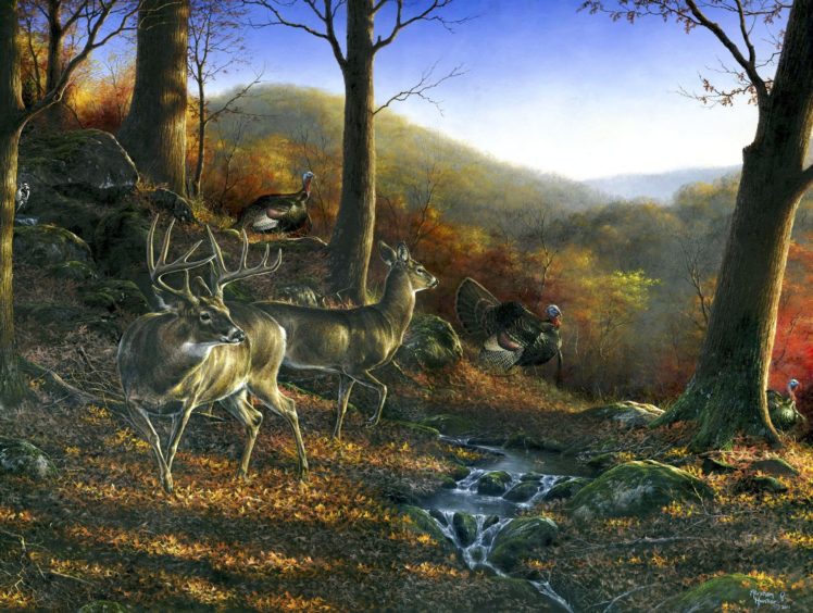 shawnee, Hills, Painting, Art, Animal, Deer HD Wallpaper Desktop Background
