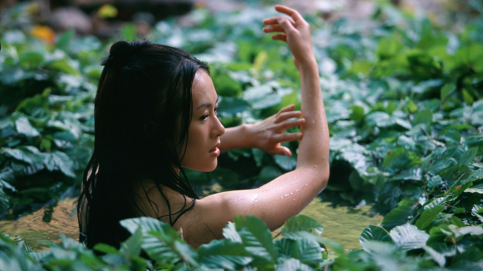 house, Of, Flying, Daggers Wallpaper