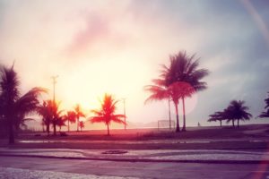 streets, Sunlight, Palm, Trees, Trees, Beaches, Lens, Flare, Filters