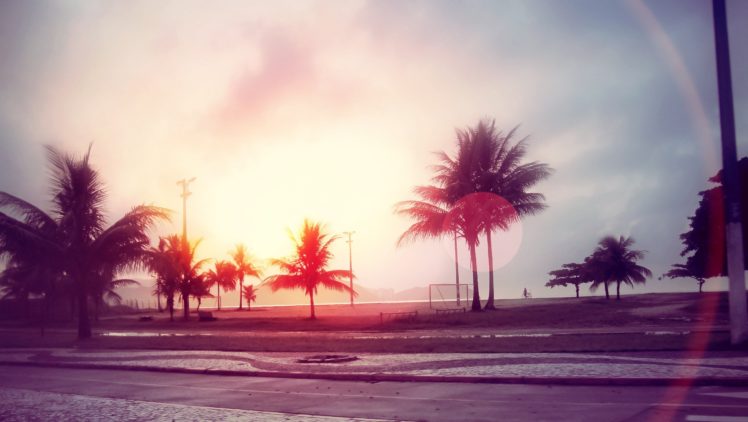 streets, Sunlight, Palm, Trees, Trees, Beaches, Lens, Flare, Filters HD Wallpaper Desktop Background