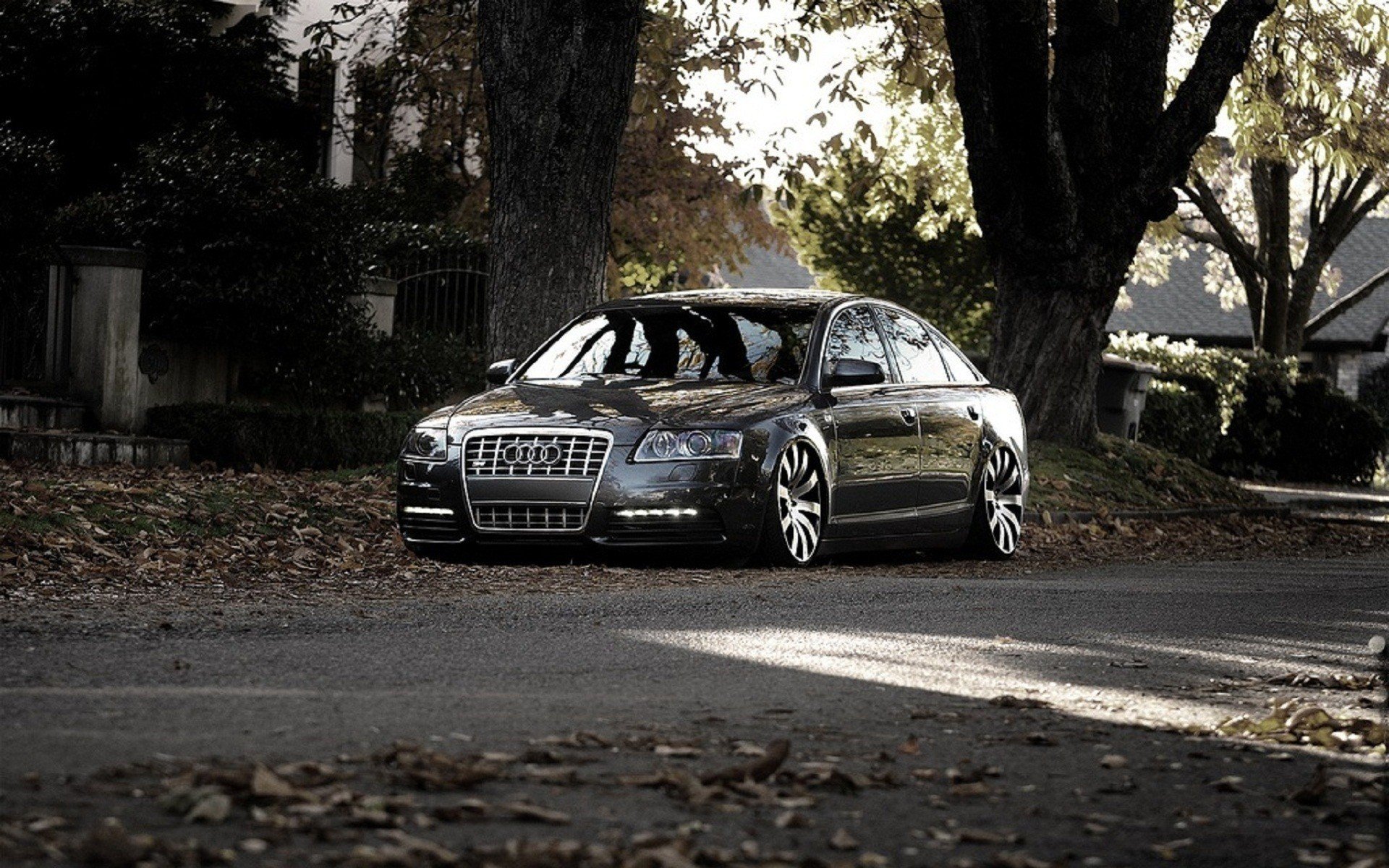 audi, S8audi, A8audi, Fall, Car, Vehicle, Urban Wallpaper