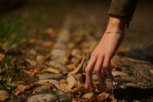 fall, Hands, Fallen, Leaves, Leaves, Nature