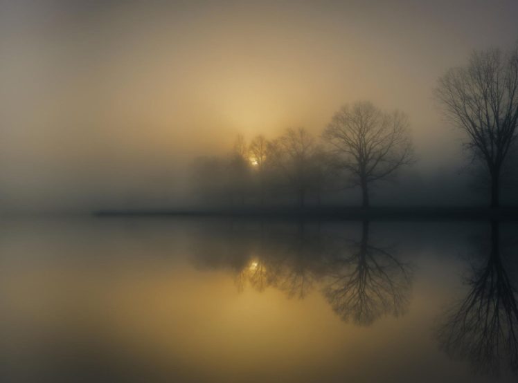 photography, Nature, Landscape, Morning, Mist, Trees, Reflection, Lake, Sunlight, Calm HD Wallpaper Desktop Background