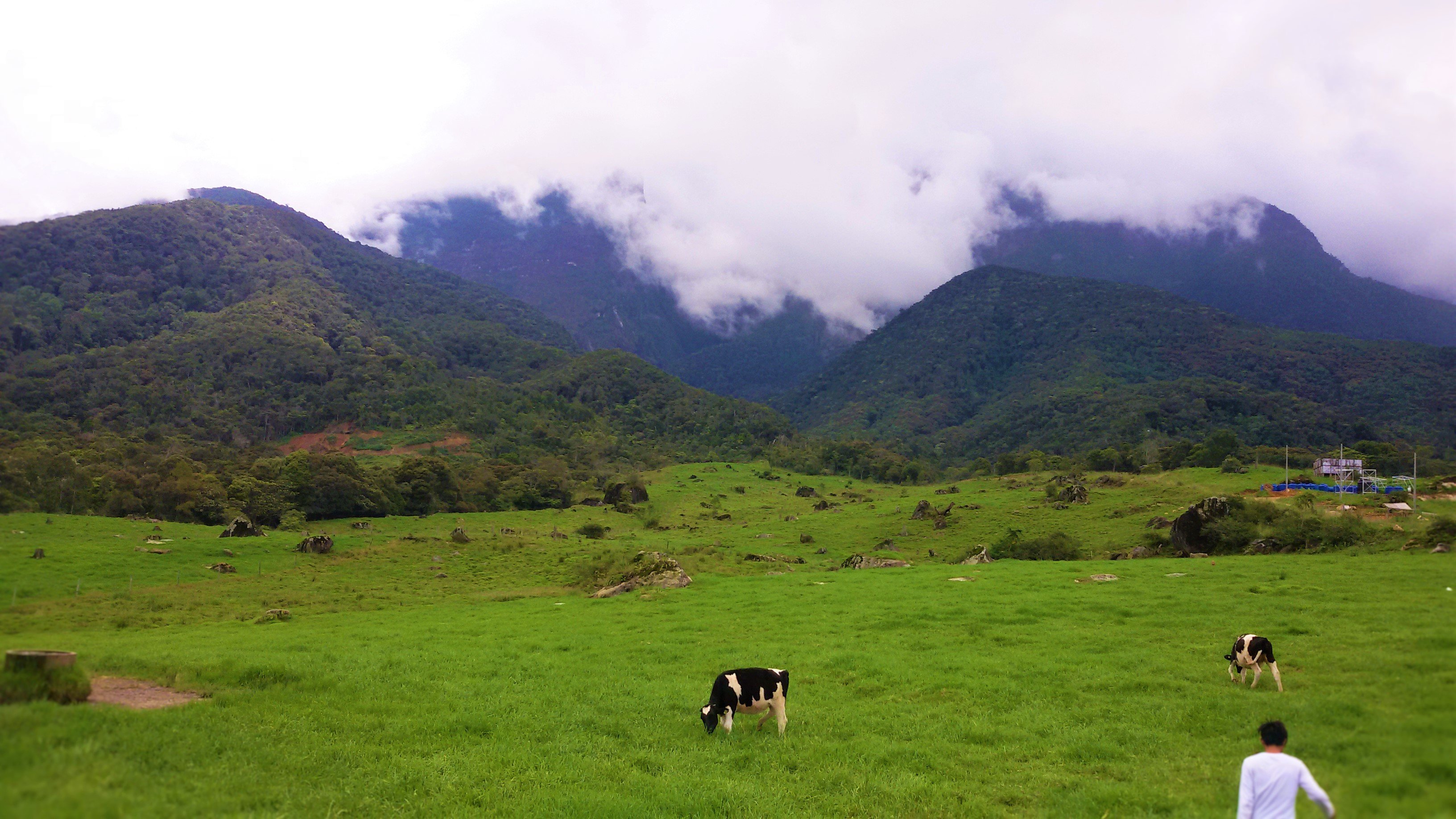 cloudy, Mountain Wallpaper