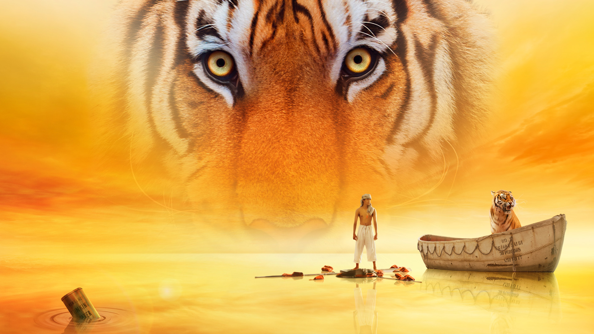 life of pi, Tiger, Tigers Wallpaper
