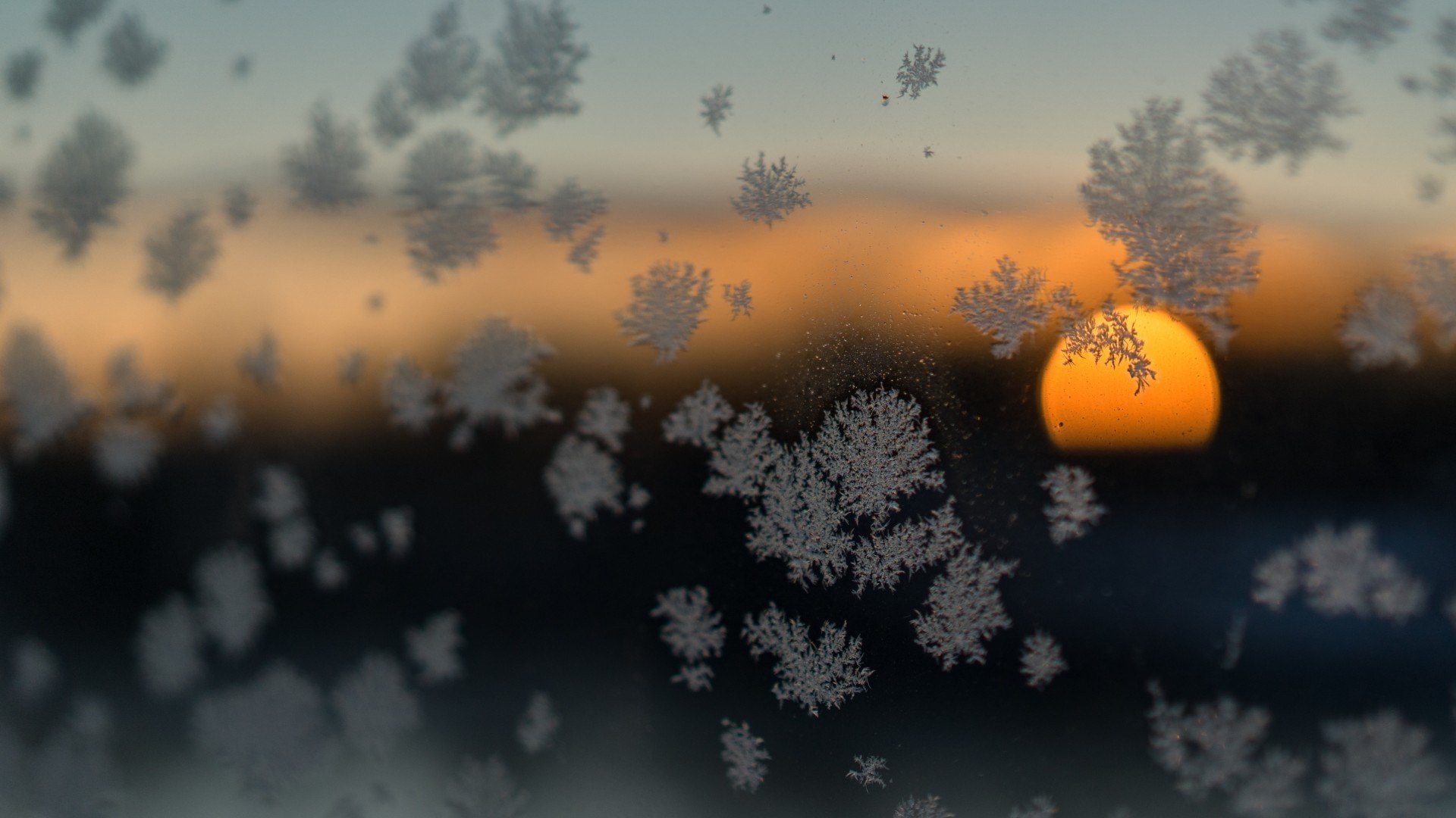 nature, Sun, Sunset, Glass, Winter, Snow, Flakes Wallpaper