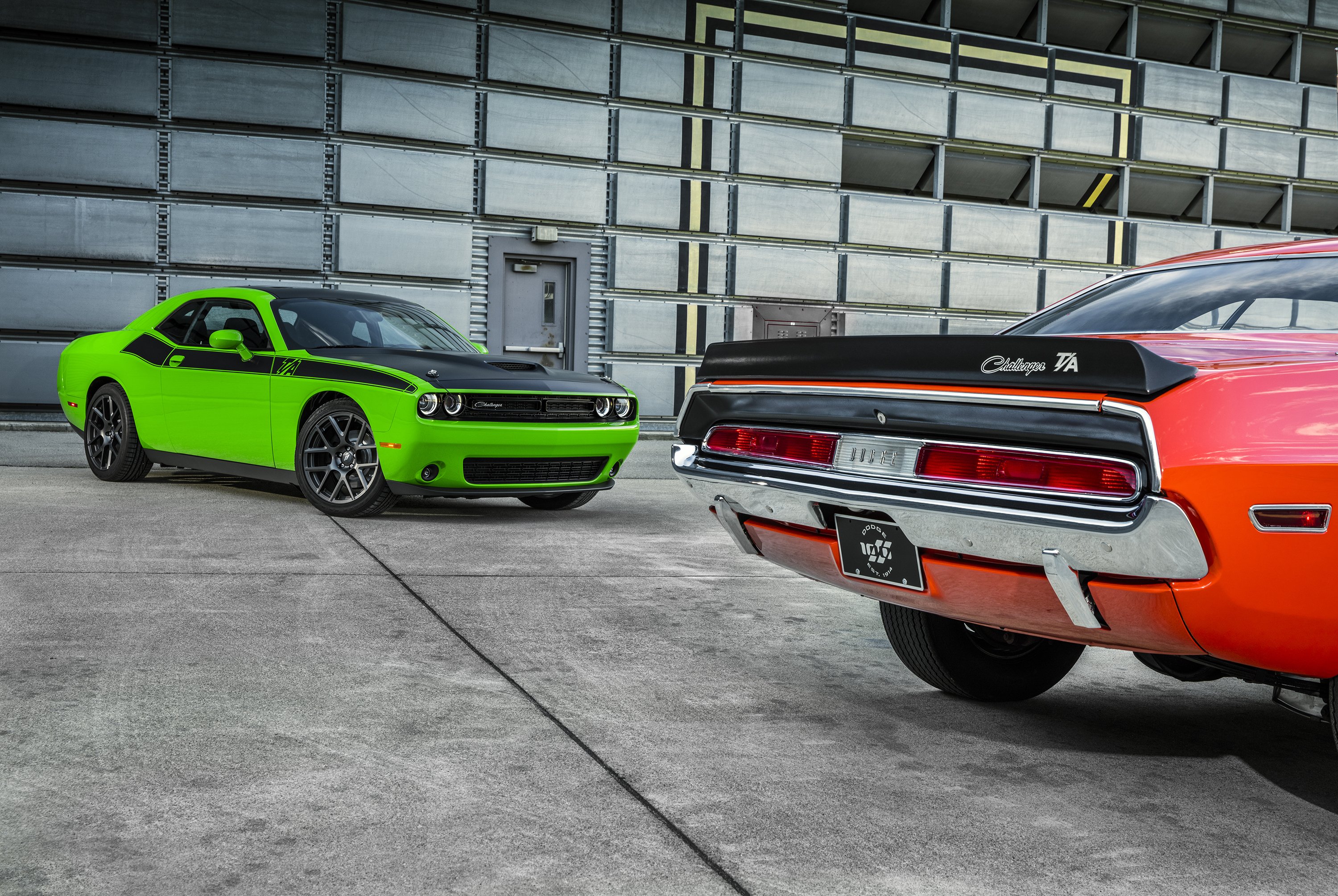 dodge, Challenger, Ta, 2017 Wallpaper