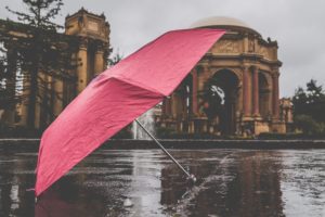 nature, Umbrella, Rain