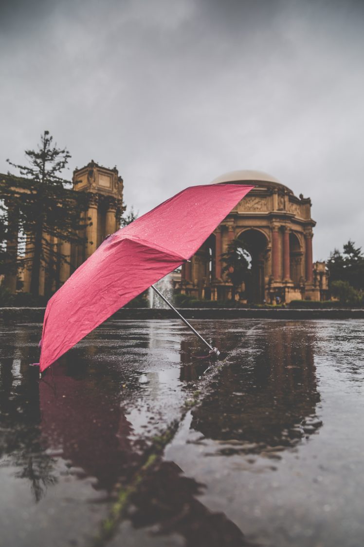 nature, Umbrella, Rain HD Wallpaper Desktop Background
