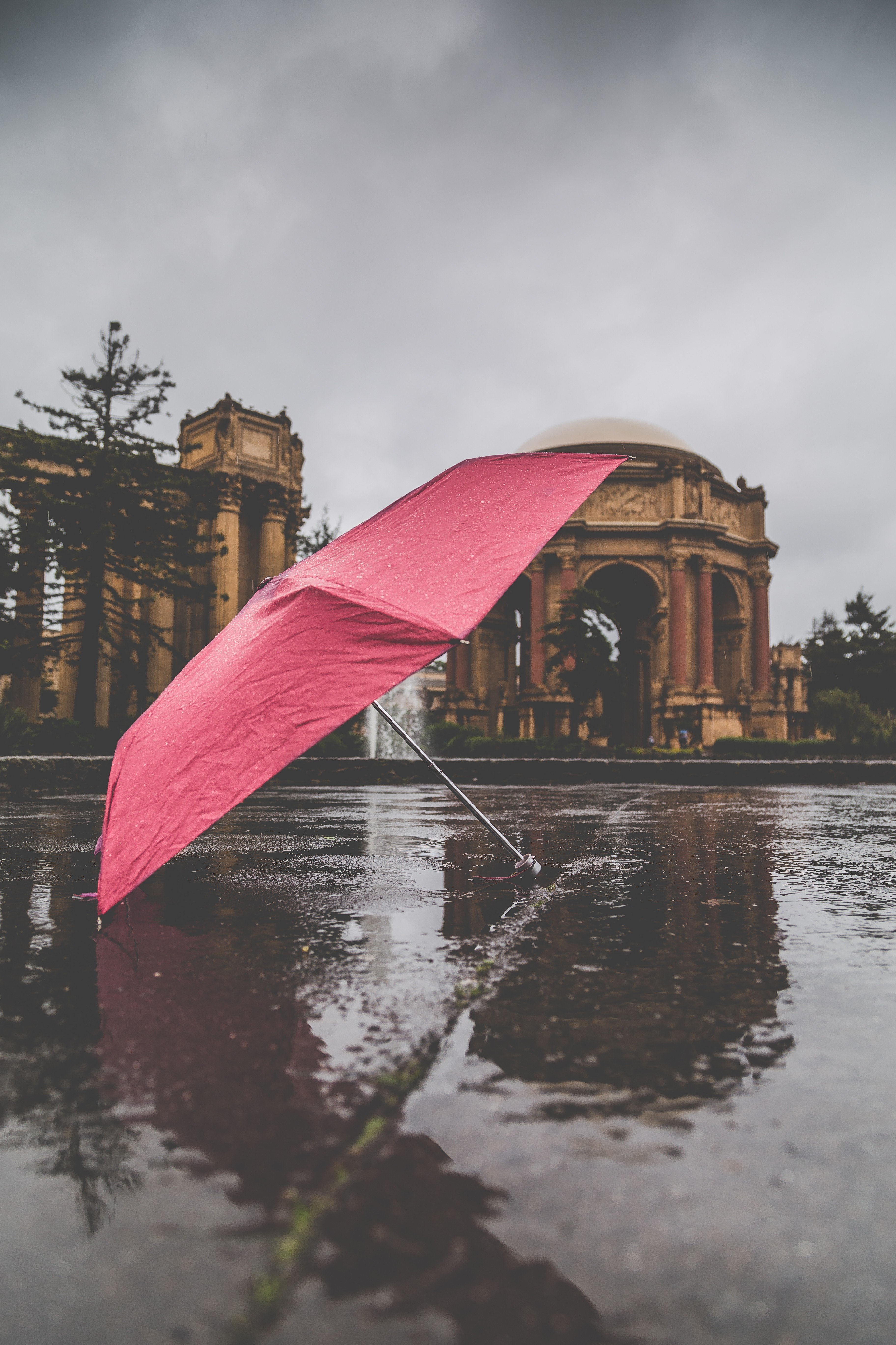 nature, Umbrella, Rain Wallpaper