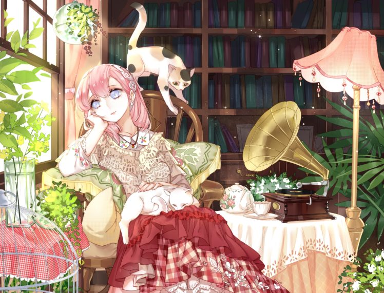 anime, Girl, Cat, Dress, Cute HD Wallpaper Desktop Background
