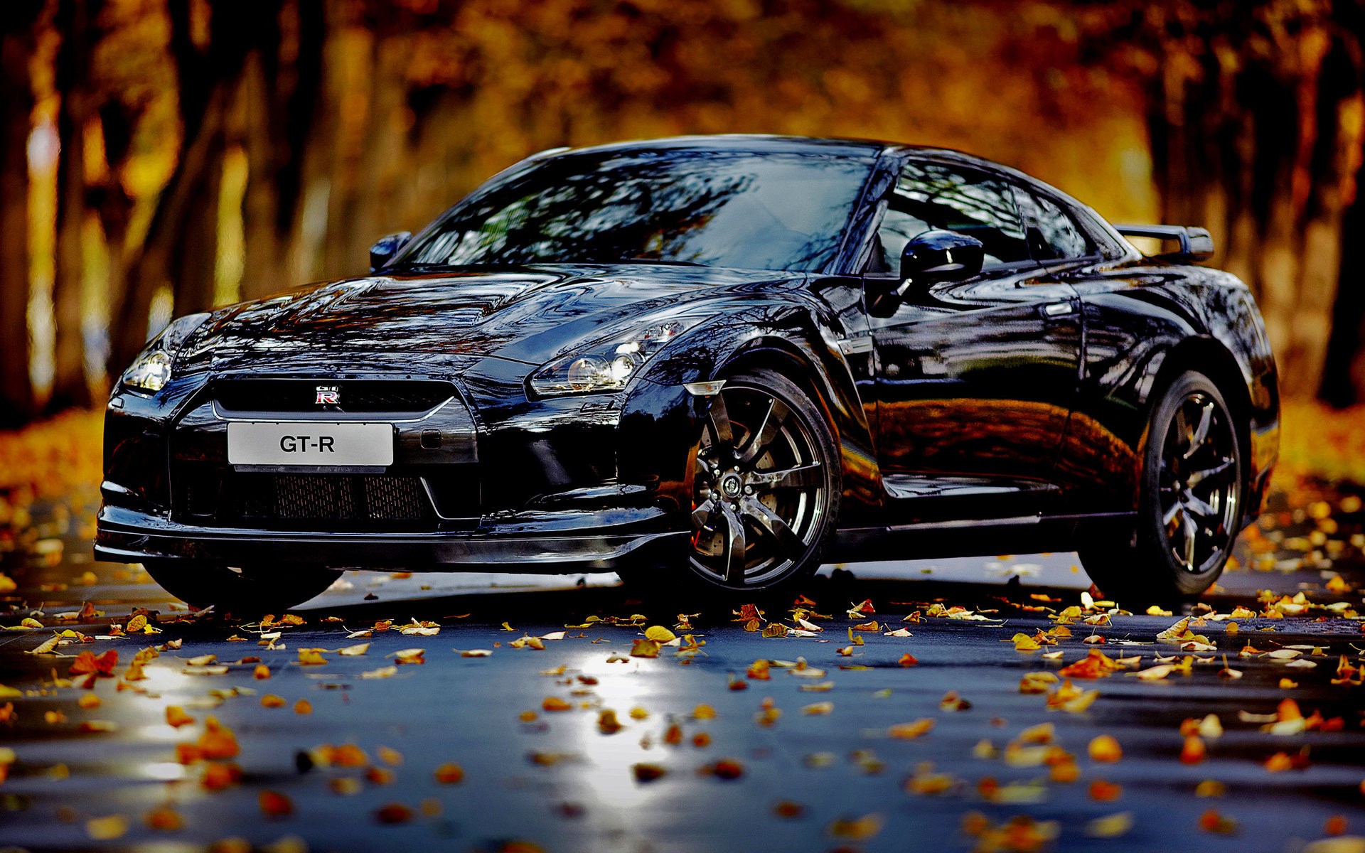 autumn, Cars, Leaves, Nissan, Skyline, Gtr Wallpaper