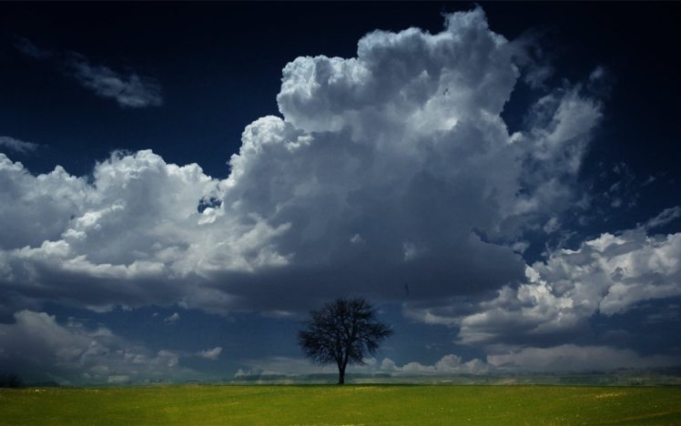 nature, Landscape, Trees, Sky, Clouds HD Wallpaper Desktop Background