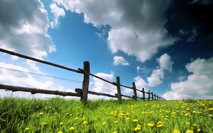 nature, Sky, Flower, Clouds HD Wallpaper Desktop Background