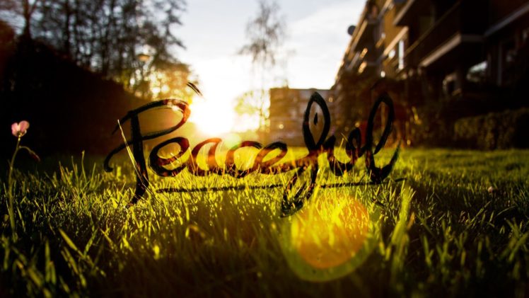 peaceful, Grass, Sun, Blurred HD Wallpaper Desktop Background