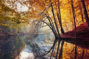 nature, Landscape, Fall, Trees, Yellow, Red, Leaves, Mist, River, Water, Reflection, Turkey, Colorful, Forest