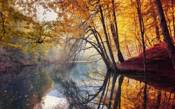 nature, Landscape, Fall, Trees, Yellow, Red, Leaves, Mist, River, Water, Reflection, Turkey, Colorful, Forest HD Wallpaper Desktop Background