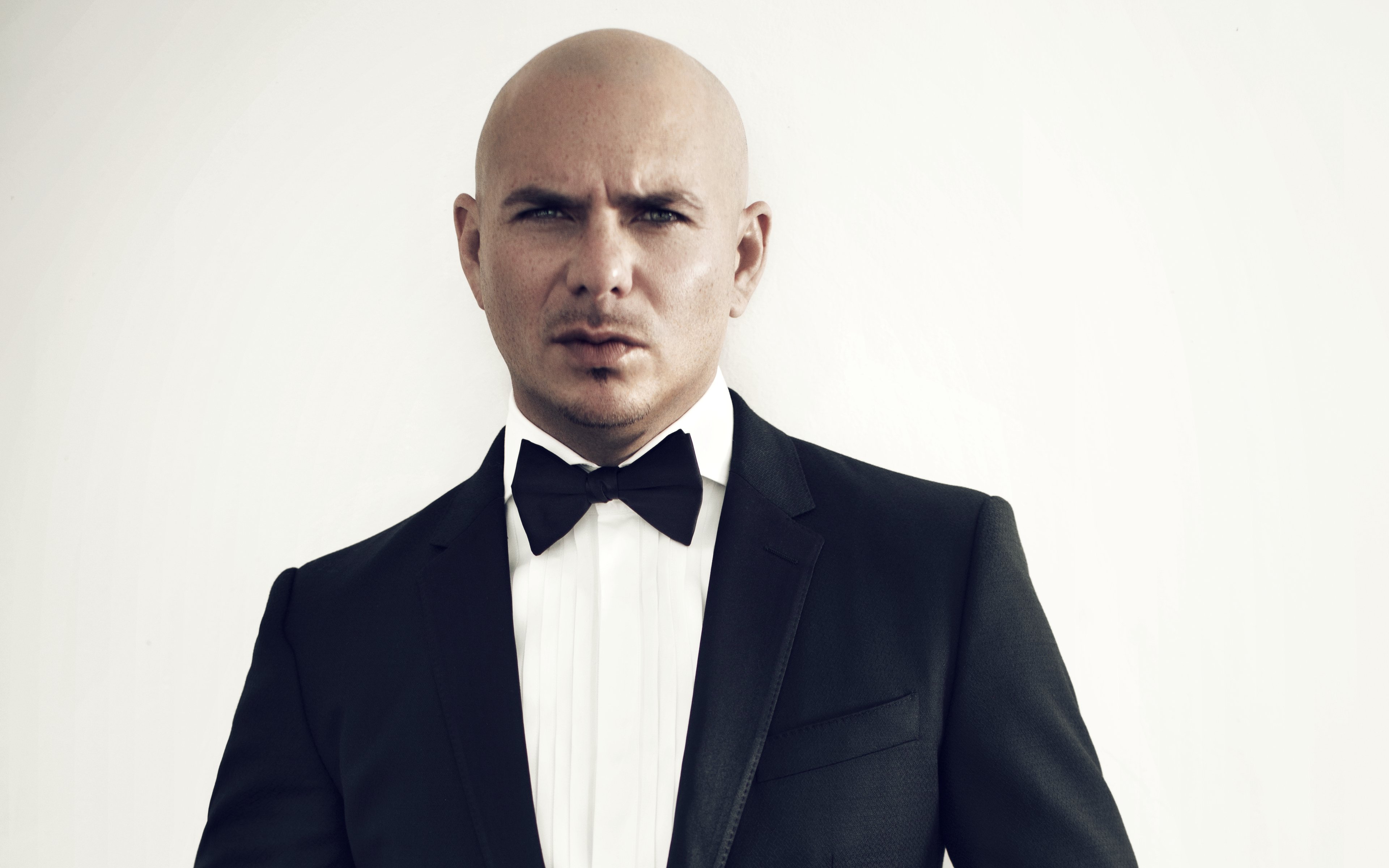 pitbull, Cantante, Americano Wallpapers HD / Desktop and Mobile Backgrounds...