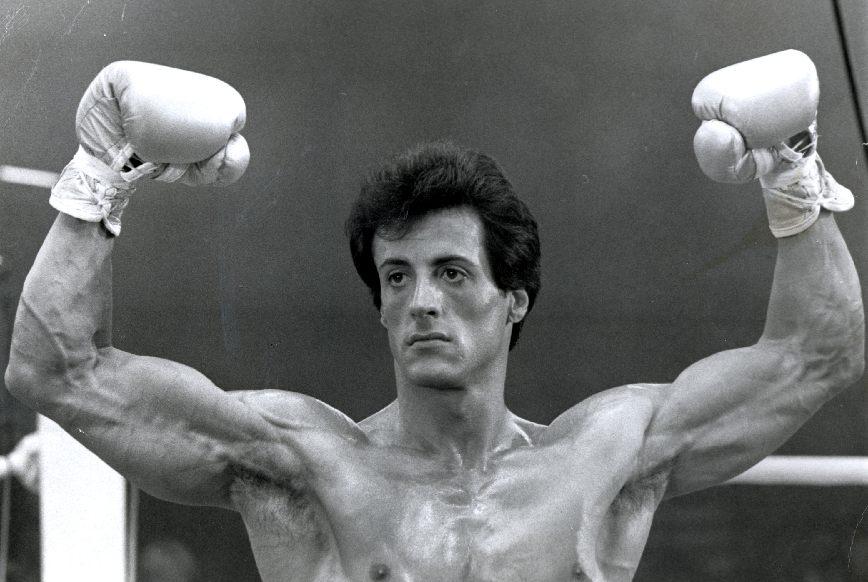 sylvester, Stallone, Rocky, Movies, 079,  2 Wallpaper