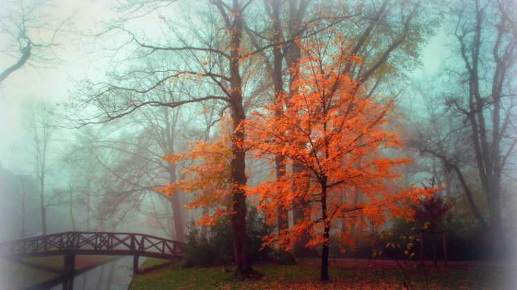 autumn, Landscape, Fog, Park HD Wallpaper Desktop Background
