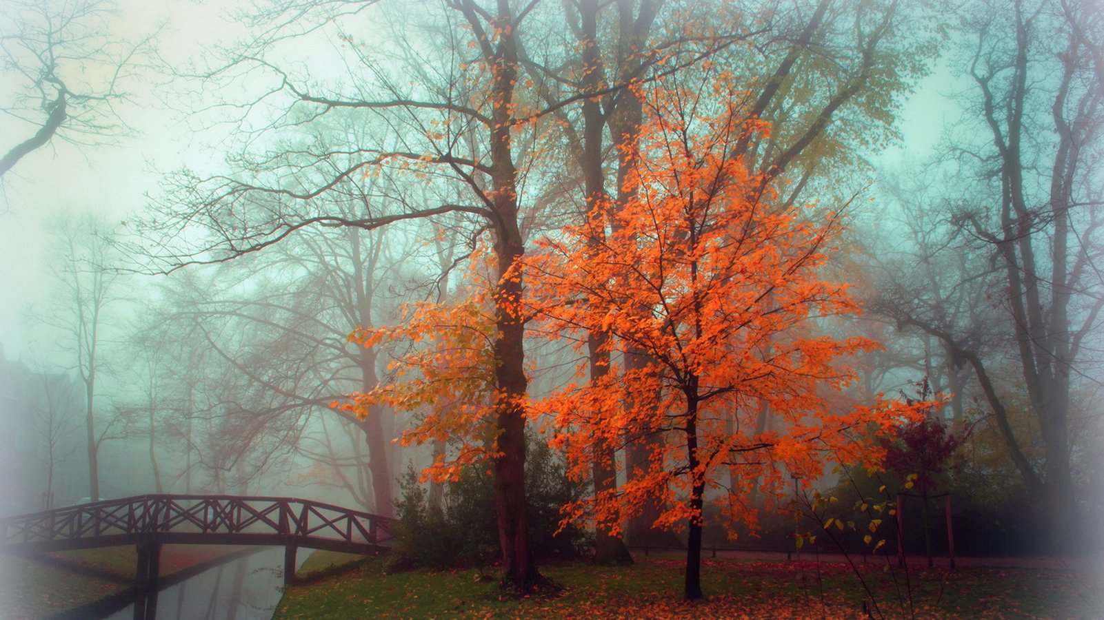 autumn, Landscape, Fog, Park Wallpaper