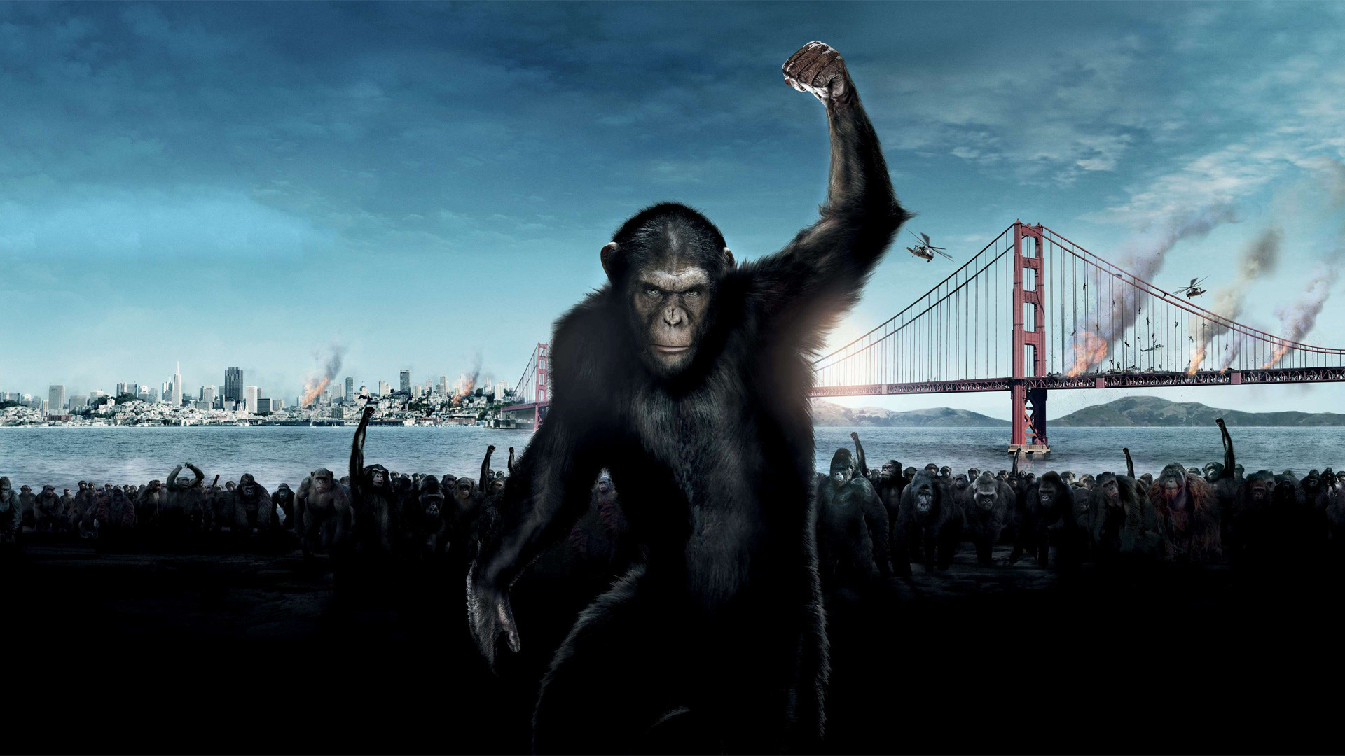 rise, Of, The, Planet, Of, The, Apes Wallpaper