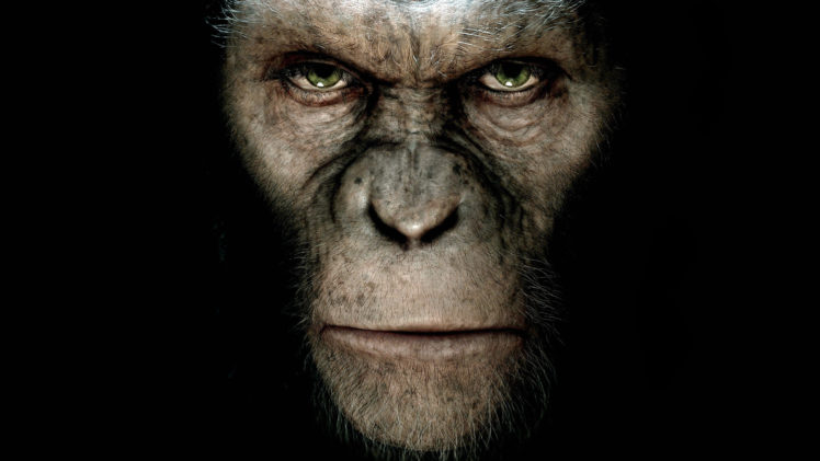 rise, Of, The, Planet, Of, The, Apes HD Wallpaper Desktop Background