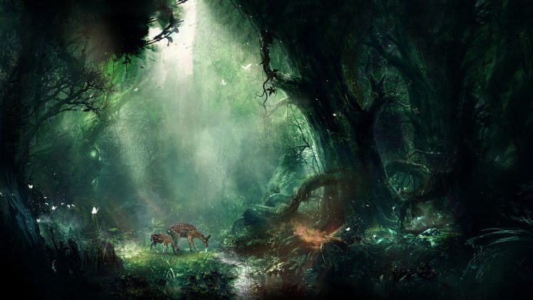 forest, Deer, Deer, And, Mother, Butterfly, Beautiful, Art, Picture HD Wallpaper Desktop Background