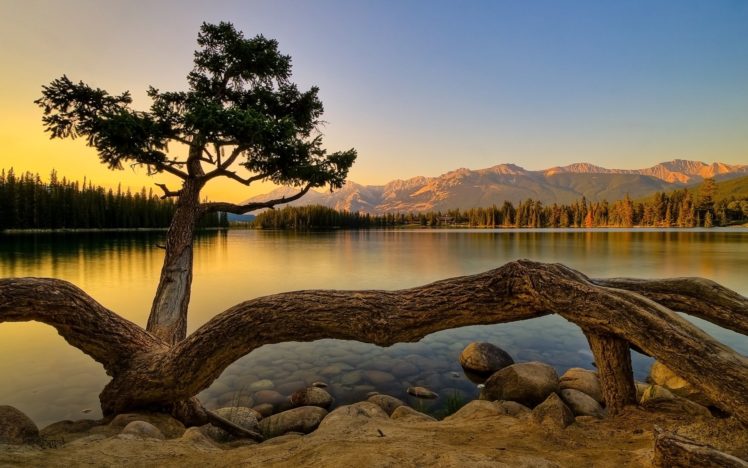 mountain, Nature, Lake, Beauty, Trees HD Wallpaper Desktop Background