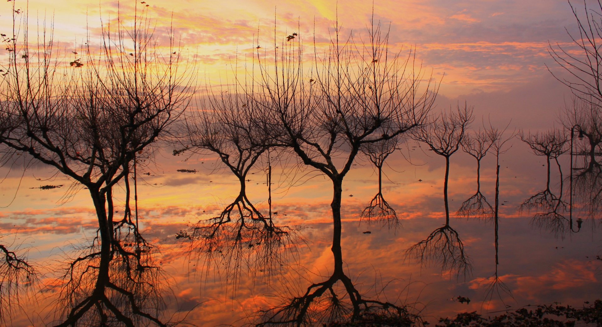 nature, Sky, Tree, Reflection, Lake Wallpaper