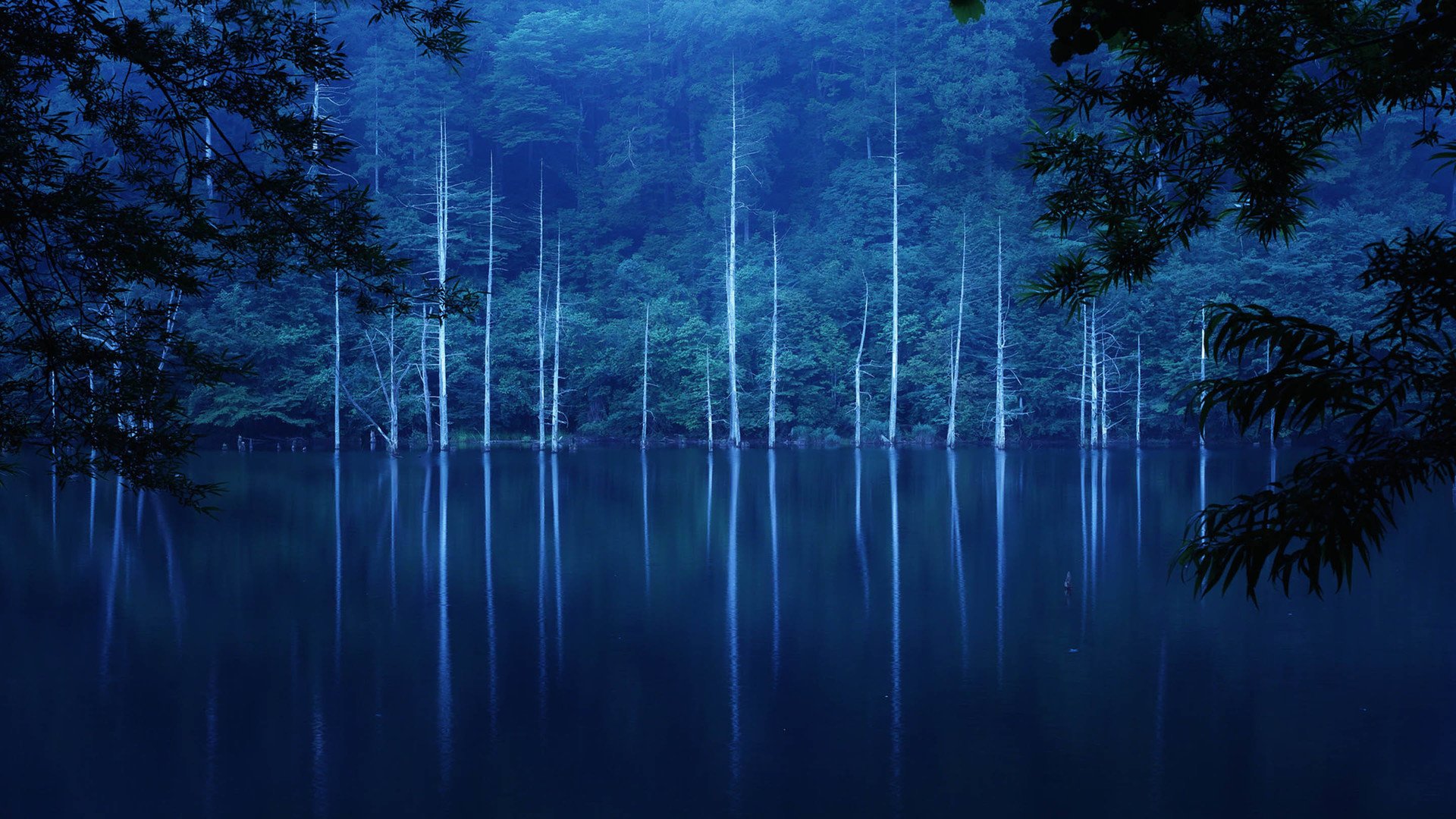 , Nature, Landscape, Beauty, Lake, Tree, Blue Wallpaper