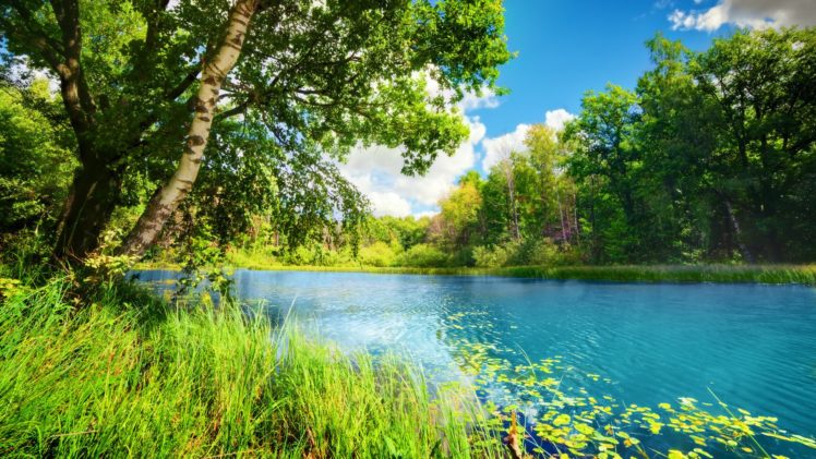 , Nature, Landscape, Beauty, Lake, Tre HD Wallpaper Desktop Background