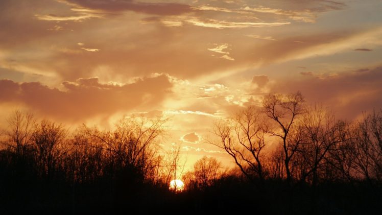 , Nature, Landscape, Beauty, Forest, Tree, Sunset, Sky, Clouds HD Wallpaper Desktop Background
