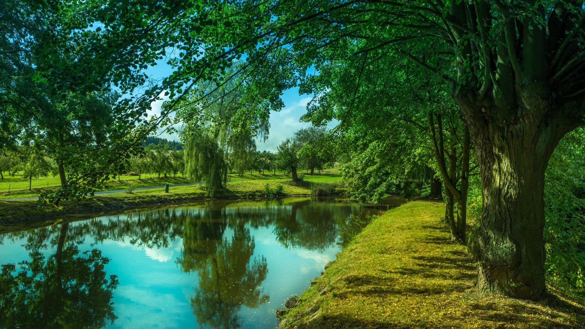 trees, Lake, Reflection, Natural, Scenery Wallpaper