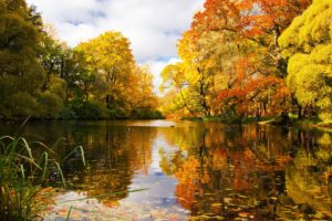 st, Petersburg, Park, River, Pond, Autumn, Landscape