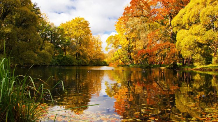 st, Petersburg, Park, River, Pond, Autumn, Landscape HD Wallpaper Desktop Background